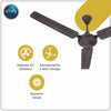 Rally Hi-Speed Ceiling Fan 1200/900mm 3 Blades 5 years Warranty