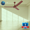 Rally Hi-Speed Ceiling Fan 1200/900mm 3 Blades 5 years Warranty