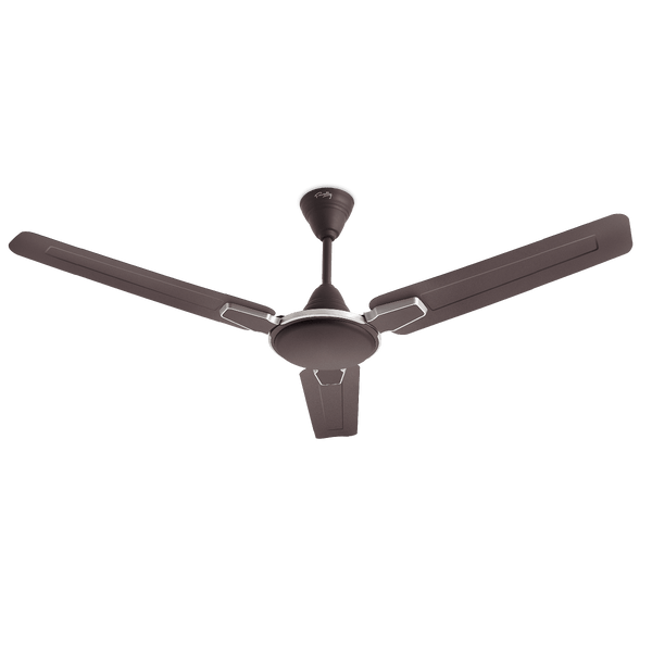 Rally Pixel Dlx Ceiling Fan || 900 Mm || 3 Blades || 5 Years Warranty