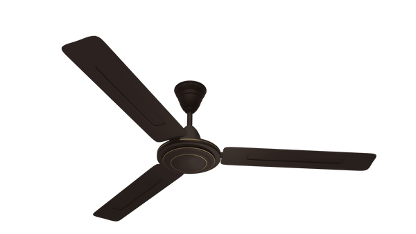 Rally Thunder Ceiling Fan | 1200MM | 3 Blades | 2 years Warranty