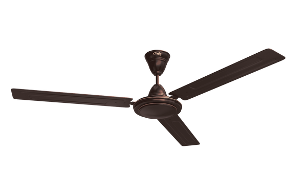 Rally QUTE ceiling fan | 1200MM | 2 years Warranty