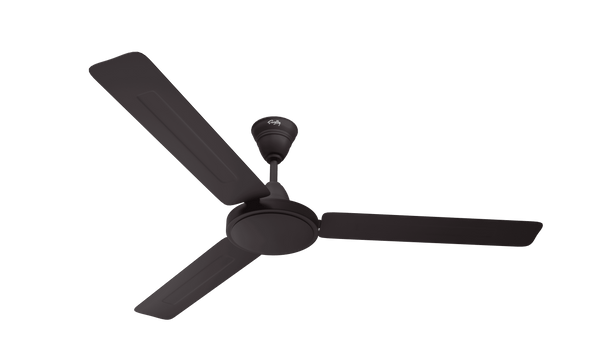 Rally Spark Ceiling Fan || 1200/1400 mm || 3 Blades || 5 Years Warranty