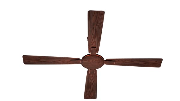 Rally Winwood Ceiling Fan || 1200 MM (48'') 4 Blades 5 years Warranty