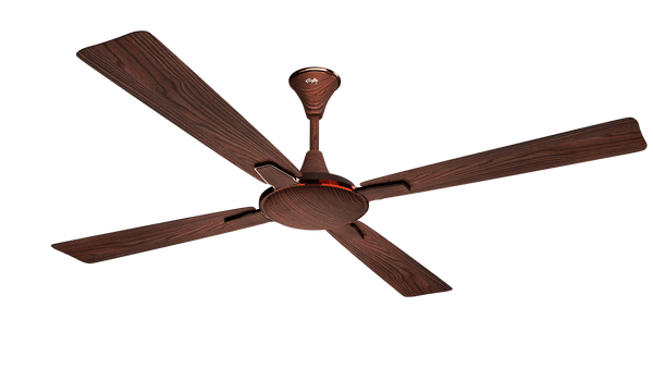 Rally Winwood Ceiling Fan || 1200 MM (48'') 4 Blades 5 years Warranty