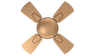 Rally Vistara Ceiling fan || 600mm (24'') 4 blades || 5 Years Warranty