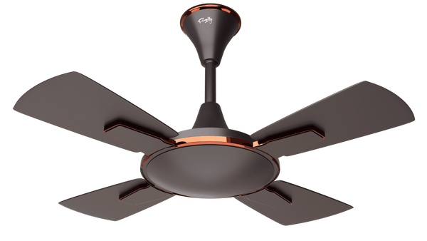 Rally Vistara Ceiling fan || 600mm (24'') 4 blades || 5 Years Warranty