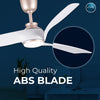 WHIRLO BLDC Ceiling Fan