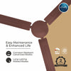 Rally QUTE ceiling fan | 1200MM | 2 years Warranty