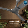 Rally Fauna DLX Ceiling Fan || 1200mm || 3 Blades || 5 years Warranty