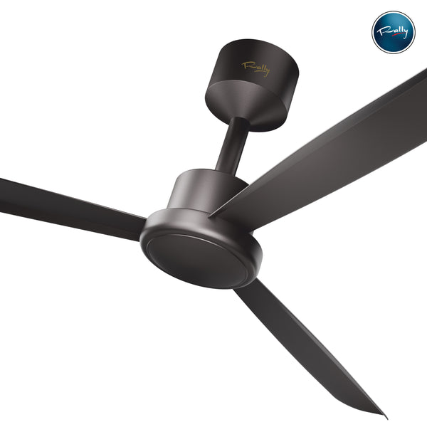 Rally SKYE Pro 5 Stars Rated Bldc Ceiling Fan 1200mm (48") with Smart Remote and 5 Years Warranty