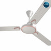 Rally Decowind Ceiling Fan || 1200mm || 3 Blades || 5 years Warranty