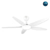 FENIX BLDC Ceiling Fan