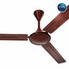 Rally QUTE ceiling fan | 1200MM | 2 years Warranty