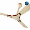Rally Fauna DLX Ceiling Fan || 1200mm || 3 Blades || 5 years Warranty