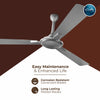 Rally Pixel Dlx Ceiling Fan || 900 Mm || 3 Blades || 5 Years Warranty