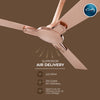 Rally Fauna DLX Ceiling Fan || 1200mm || 3 Blades || 5 years Warranty