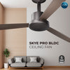 Rally SKYE Pro 5 Stars Rated Bldc Ceiling Fan 1200mm (48") with Smart Remote and 5 Years Warranty