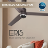 Rally Eris 5 Stars Rated Bldc Ceiling Fan 1200mm (48") with Smart Remote and 2 Years Warranty