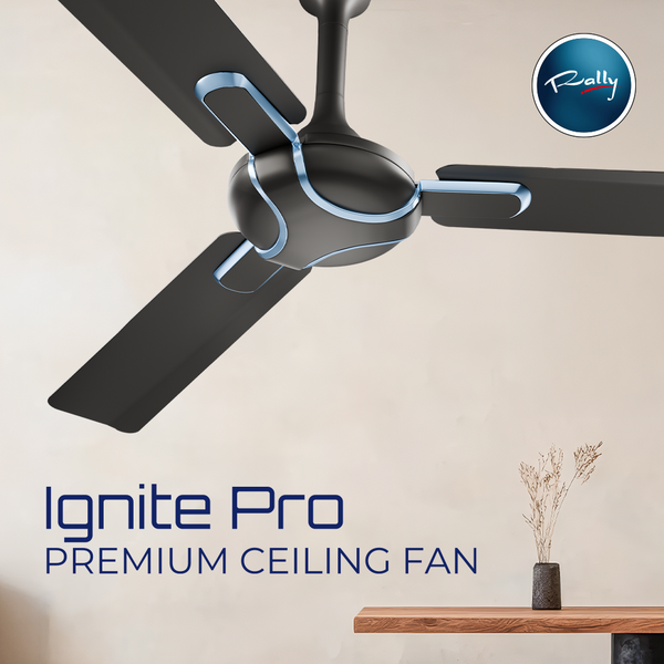 Rally Ignite Pro Premium Ceiling Fan || 1200mm || 3 Blades