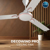 Rally Decowind Ceiling Fan || 1200mm || 3 Blades || 5 years Warranty