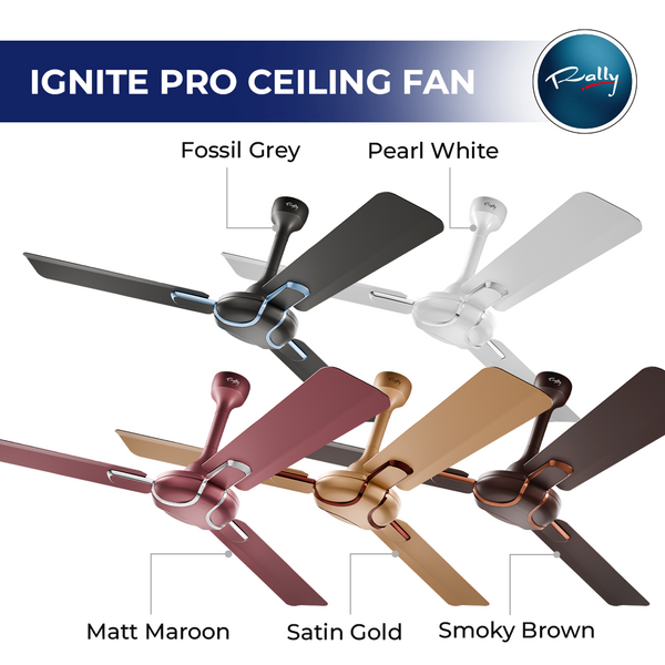 Rally Ignite Pro Premium Ceiling Fan || 1200mm || 3 Blades