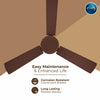 Rally Spark Ceiling Fan || 1200/1400 mm || 3 Blades || 5 Years Warranty