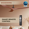 Woodwing 3 Blade BLDC Ceiling Fan