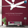 FENIX BLDC Ceiling Fan