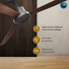 Rally Skye Pro 5 (Wood) Stars Rated BLDC Ceiling Fan 1200mm (48") with Smart Remote and 5 Years Warranty