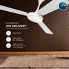Rally Spark Ceiling Fan || 1200/1400 mm || 3 Blades || 5 Years Warranty