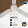 Rally Decowind Ceiling Fan || 1200mm || 3 Blades || 5 years Warranty