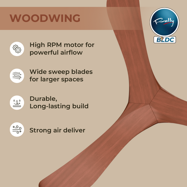 Woodwing 3 Blade BLDC Ceiling Fan