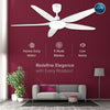 FENIX BLDC Ceiling Fan