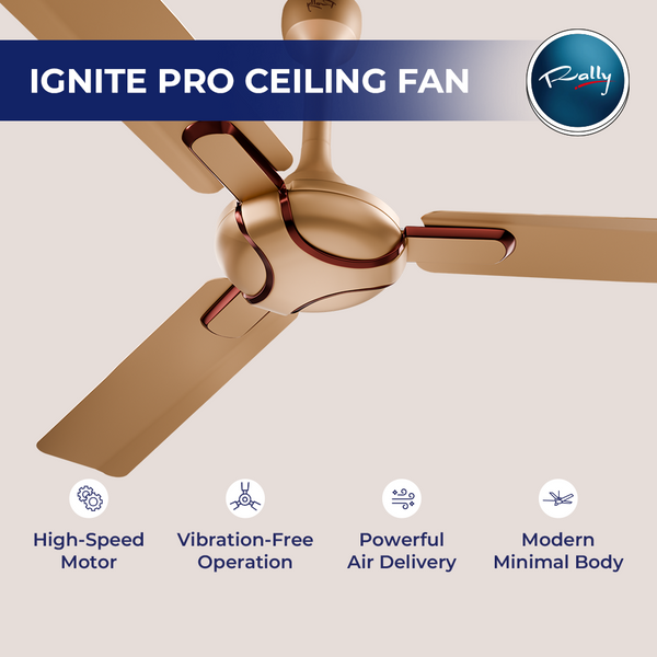 Rally Ignite Pro Premium Ceiling Fan || 1200mm || 3 Blades