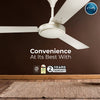 Rally Spark Ceiling Fan || 1200/1400 mm || 3 Blades || 5 Years Warranty