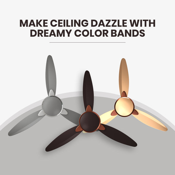 Rally Fortuner 1200mm High speed Ceiling Fans for Home | 5 years Warranty