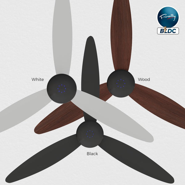 ECTO BLDC Ceiling Fan