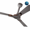 Rally Fauna DLX Ceiling Fan || 1200mm || 3 Blades || 5 years Warranty