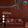 Rally Pixel Dlx Ceiling Fan || 900 Mm || 3 Blades || 5 Years Warranty