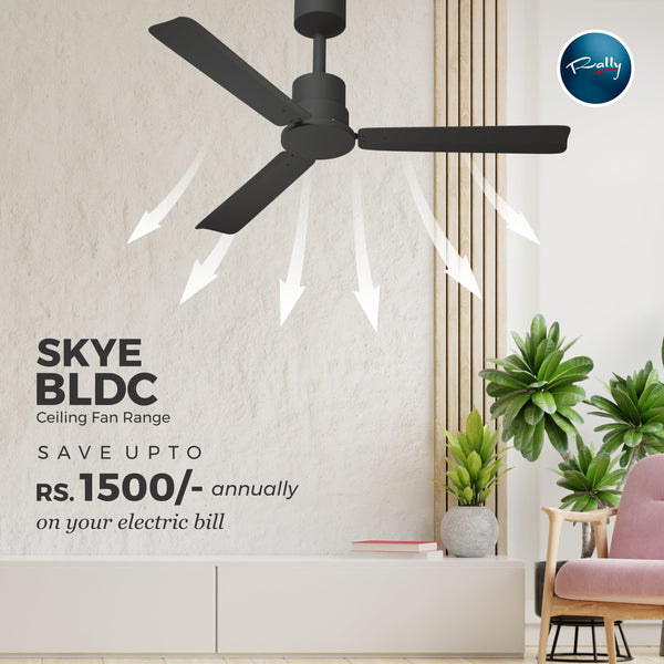 Rally SKYE 5 Stars Rated BLDC ceiling fan 1200mm (48") with Smart Remote and 5 years Warranty