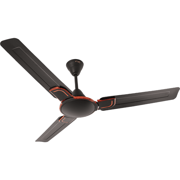 Rally Fauna DLX Ceiling Fan Shop Best Ceiling Fans Online